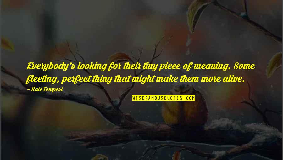 I Might Not Be Perfect For You Quotes By Kate Tempest: Everybody's looking for their tiny piece of meaning.