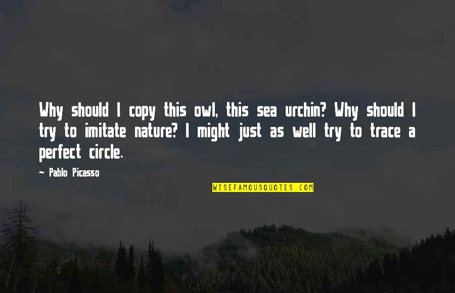 I Might Not Be Perfect Quotes By Pablo Picasso: Why should I copy this owl, this sea