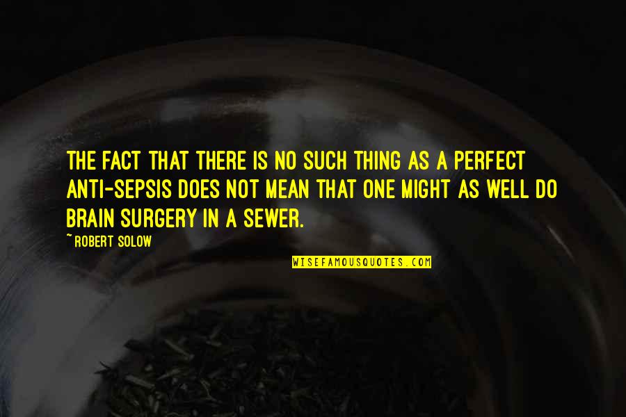 I Might Not Be Perfect Quotes By Robert Solow: The fact that there is no such thing