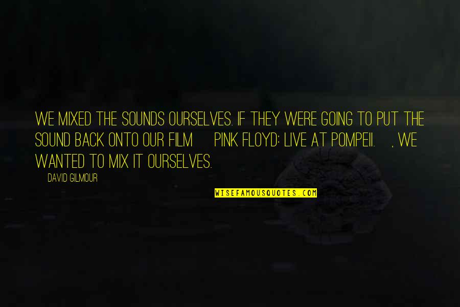I Miss The One I Love Quotes By David Gilmour: We mixed the sounds ourselves. If they were