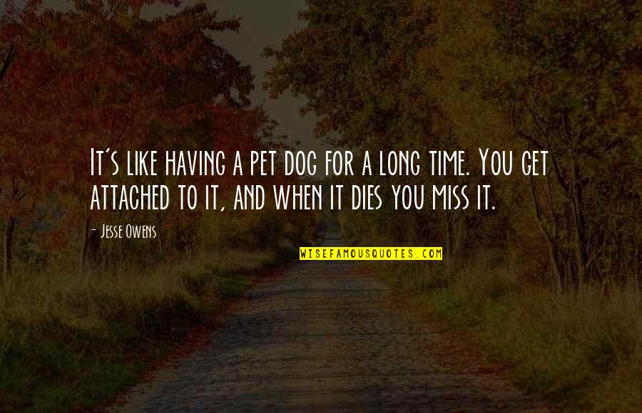 I Miss The Time When I'm With You Quotes By Jesse Owens: It's like having a pet dog for a