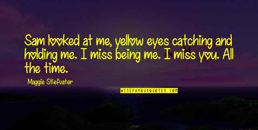 I Miss You And Me Quotes By Maggie Stiefvater: Sam looked at me, yellow eyes catching and