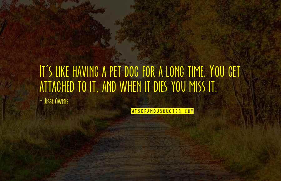 I Miss You Long Quotes By Jesse Owens: It's like having a pet dog for a