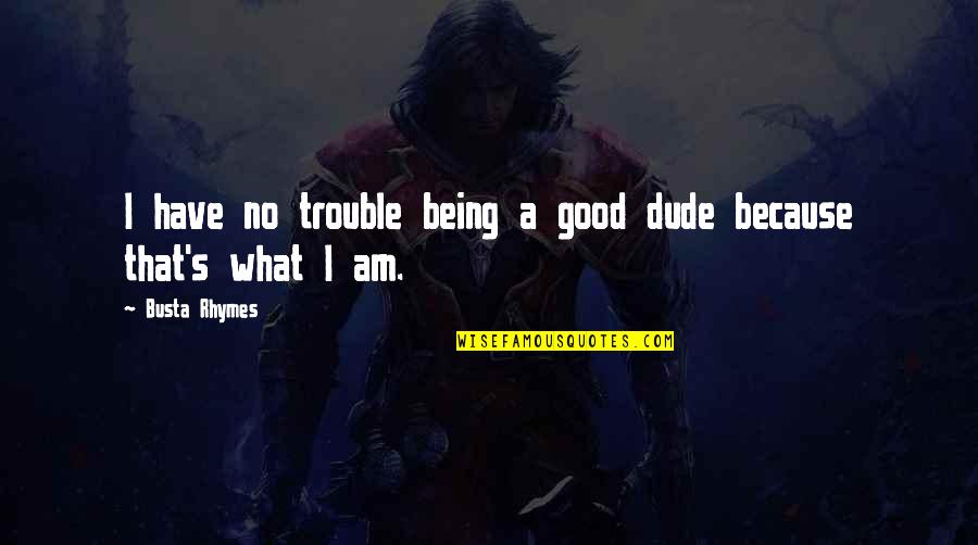 I Miss You Texting Me Quotes By Busta Rhymes: I have no trouble being a good dude