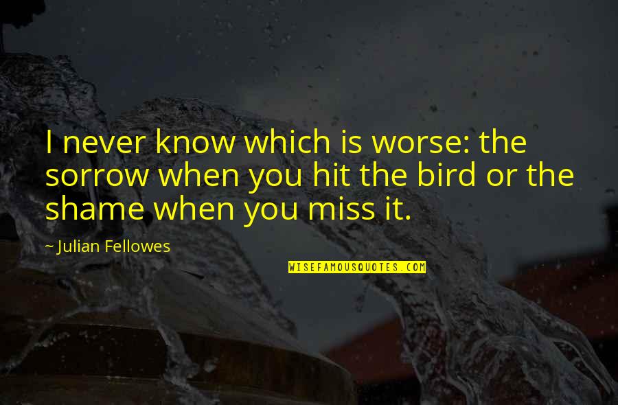 I Miss You When Quotes By Julian Fellowes: I never know which is worse: the sorrow