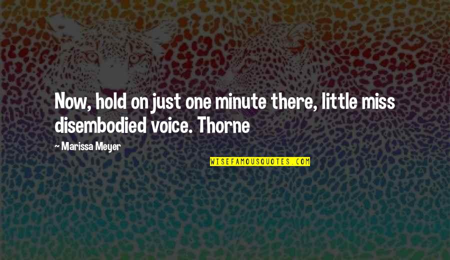 I Miss Your Voice So Much Quotes By Marissa Meyer: Now, hold on just one minute there, little
