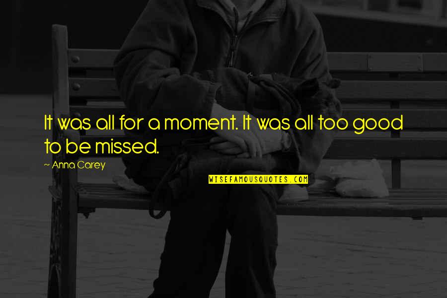 I Missed You My Love Quotes By Anna Carey: It was all for a moment. It was
