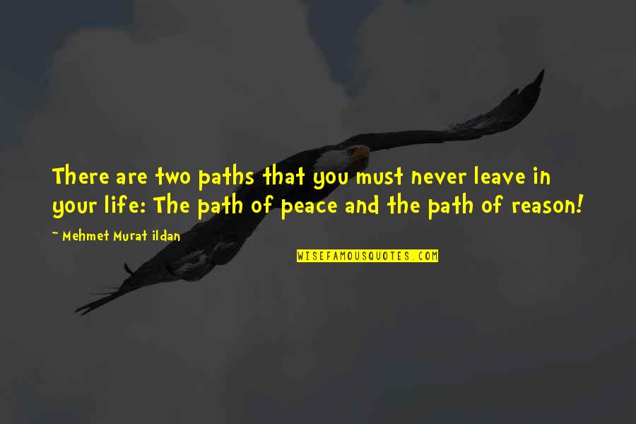 I Must Leave Quotes By Mehmet Murat Ildan: There are two paths that you must never