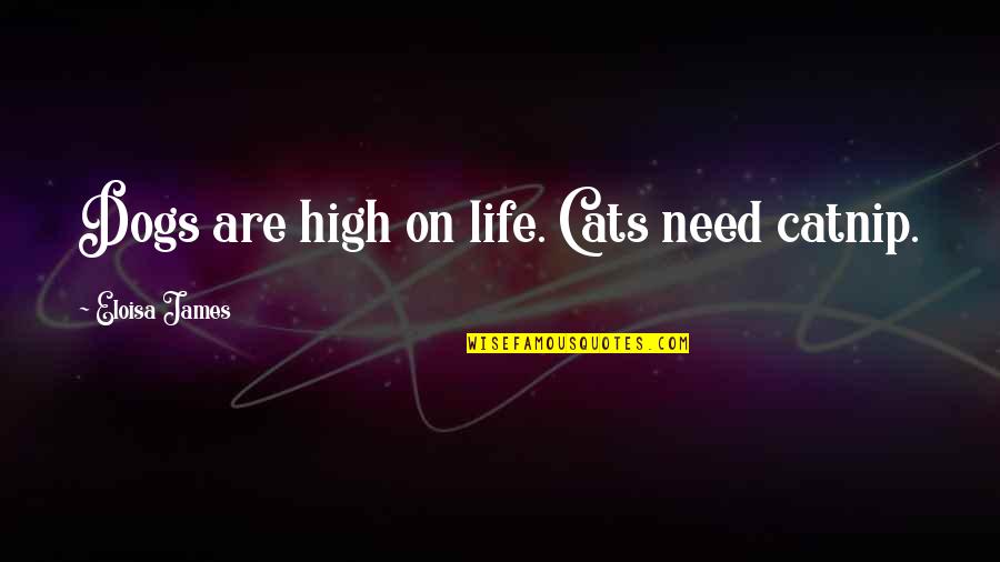 I Need A Dog Quotes By Eloisa James: Dogs are high on life. Cats need catnip. I Need A Dog Quotes By Eloisa James: Dogs are high on life. Cats need catnip.