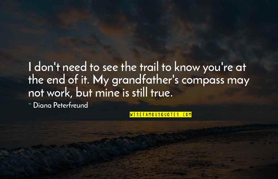 I Need You But Quotes By Diana Peterfreund: I don't need to see the trail to