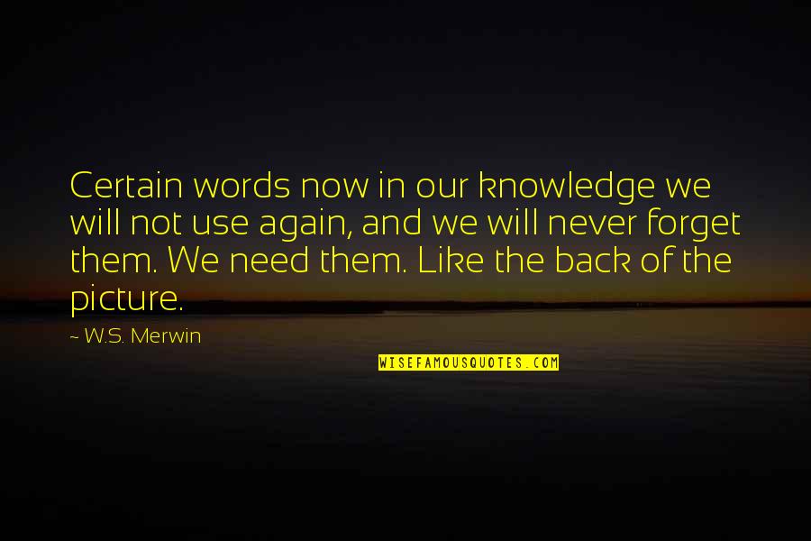 I Need You Now Picture Quotes By W.S. Merwin: Certain words now in our knowledge we will
