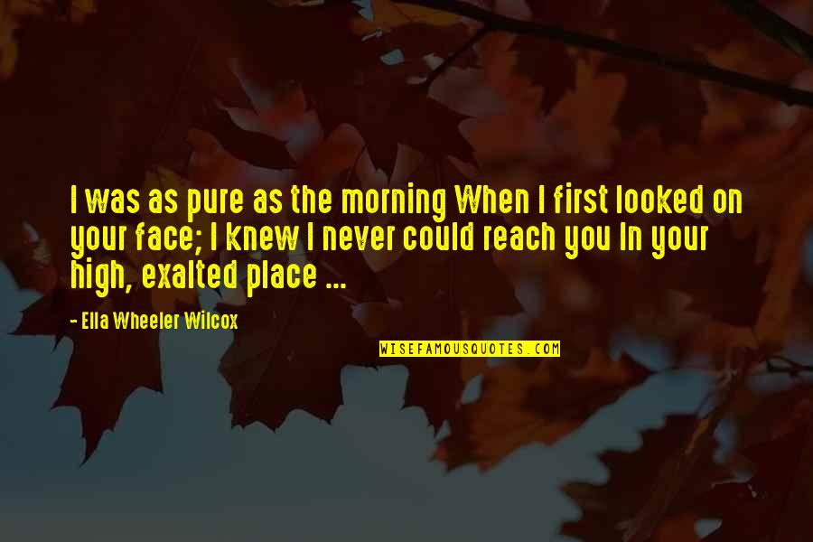 I Never Knew You Quotes By Ella Wheeler Wilcox: I was as pure as the morning When