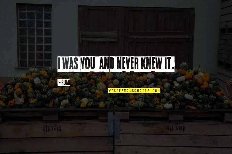 I Never Knew You Quotes By Rumi: I was you and never knew it.