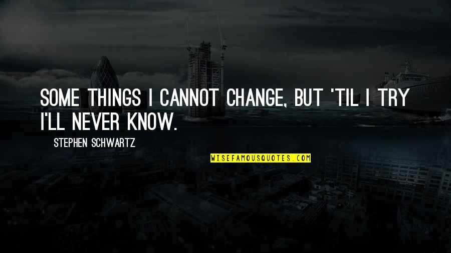 I Never Know Quotes By Stephen Schwartz: Some things I cannot change, but 'til I