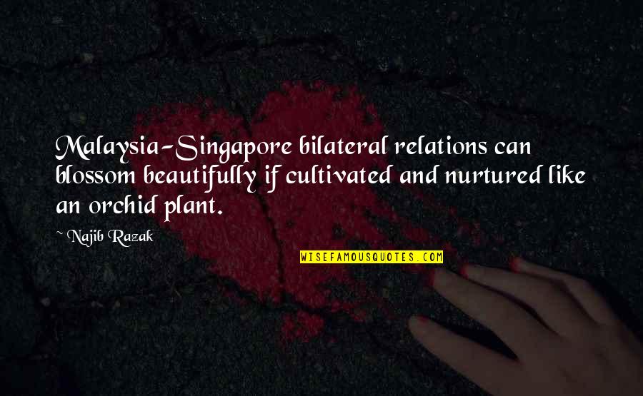 I Never Lose Either I Win Or I Learn Quote Quotes By Najib Razak: Malaysia-Singapore bilateral relations can blossom beautifully if cultivated I Never Lose Either I Win Or I Learn Quote Quotes By Najib Razak: Malaysia-Singapore bilateral relations can blossom beautifully if cultivated