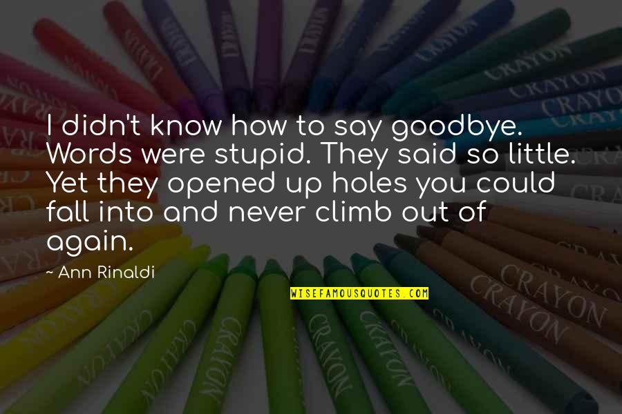 I Never Said Goodbye Quotes By Ann Rinaldi: I didn't know how to say goodbye. Words