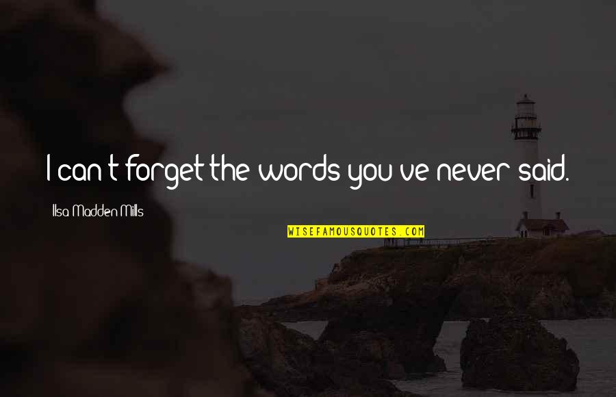 I Never Said Quotes By Ilsa Madden-Mills: I can't forget the words you've never said.
