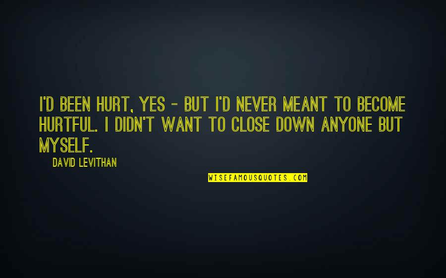 I Never Want To Hurt Anyone Quotes By David Levithan: I'd been hurt, yes - but I'd never