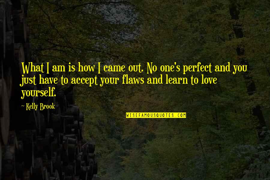 I Not Perfect I Have My Flaws Quotes By Kelly Brook: What I am is how I came out.