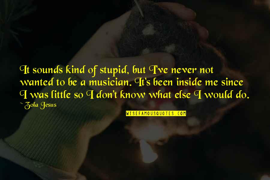 I Not Stupid Quotes By Zola Jesus: It sounds kind of stupid, but I've never