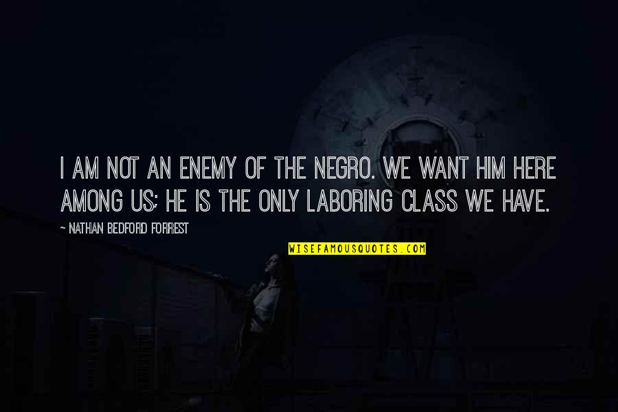 I Only Want Him Quotes By Nathan Bedford Forrest: I am not an enemy of the Negro.
