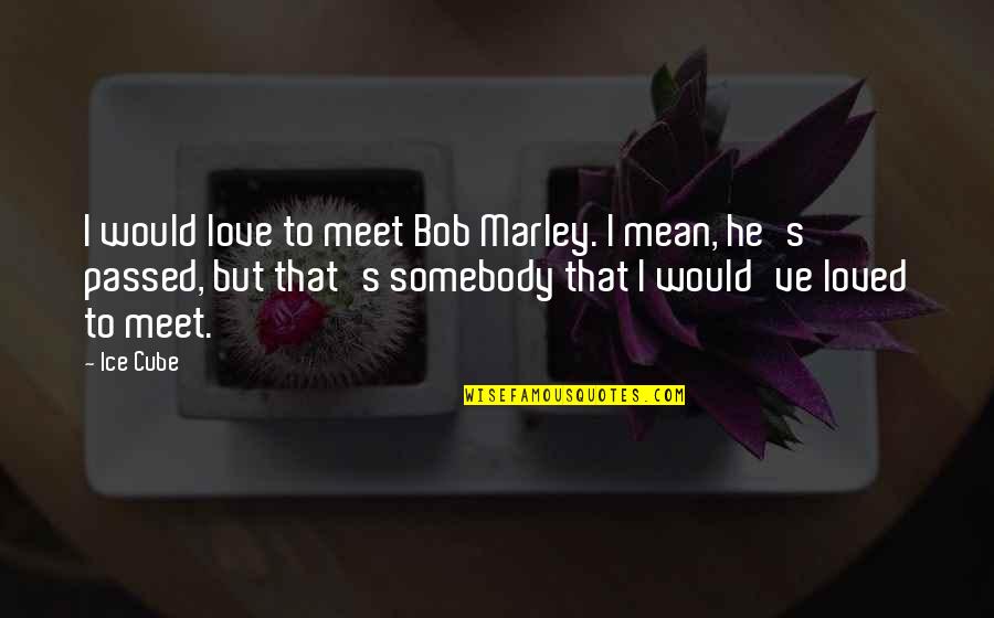 I Passed Quotes By Ice Cube: I would love to meet Bob Marley. I I Passed Quotes By Ice Cube: I would love to meet Bob Marley. I