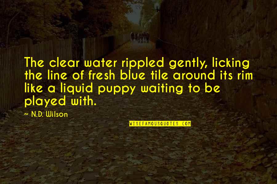 I Peep Everything I Just Play Dumb Quotes By N.D. Wilson: The clear water rippled gently, licking the line