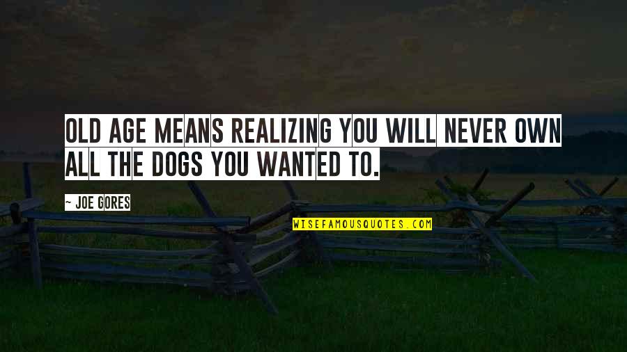 I Promise To Love Myself Quotes By Joe Gores: Old age means realizing you will never own