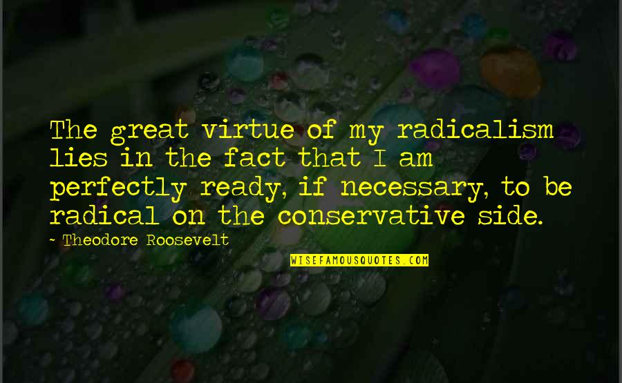 I Ready Quotes By Theodore Roosevelt: The great virtue of my radicalism lies in