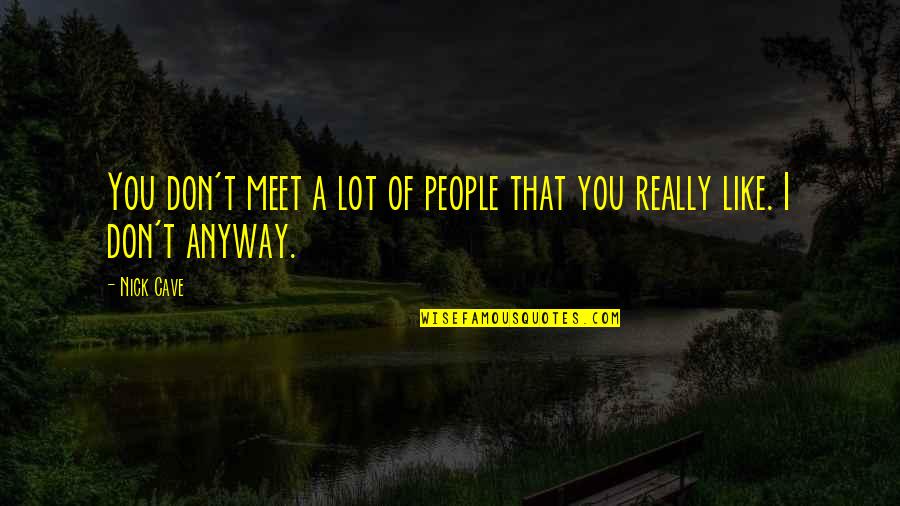 I Really Don't Like You Quotes By Nick Cave: You don't meet a lot of people that