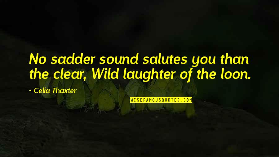 I Salute You Quotes By Celia Thaxter: No sadder sound salutes you than the clear,