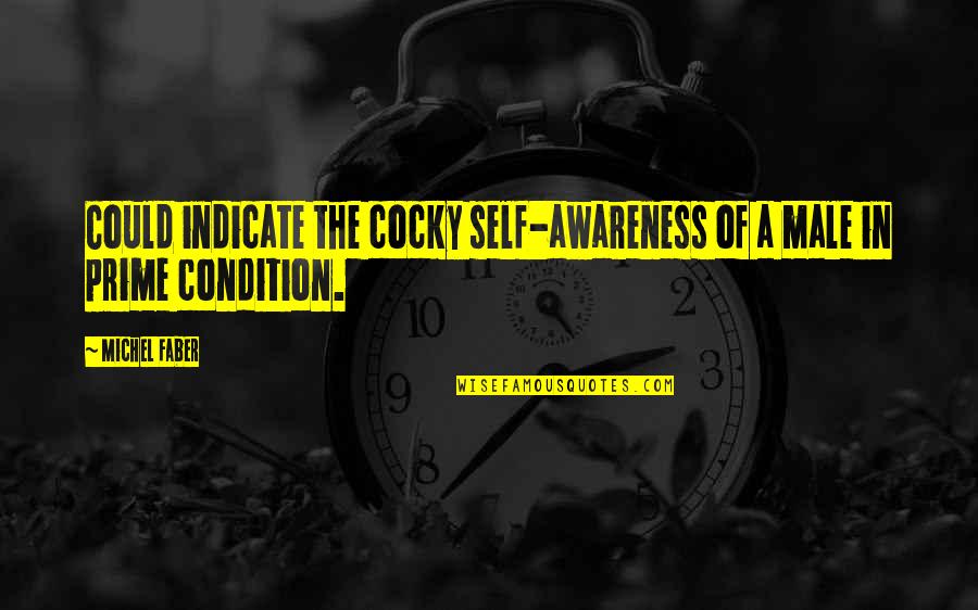 I Salute You Sir Quotes By Michel Faber: Could indicate the cocky self-awareness of a male