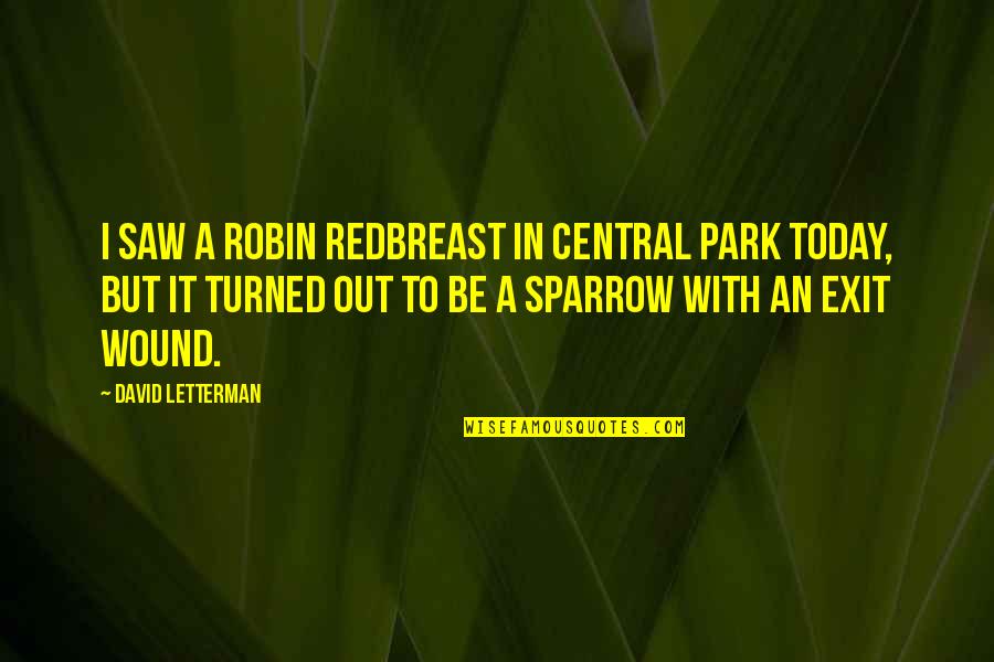 I Saw You Today Quotes By David Letterman: I saw a robin redbreast in Central Park