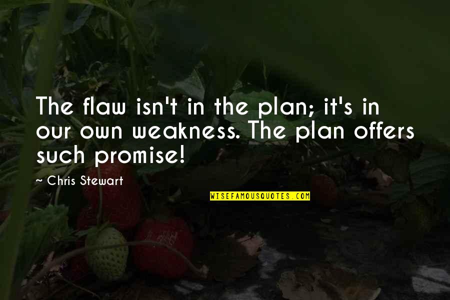I Say Stupid Things Quotes By Chris Stewart: The flaw isn't in the plan; it's in