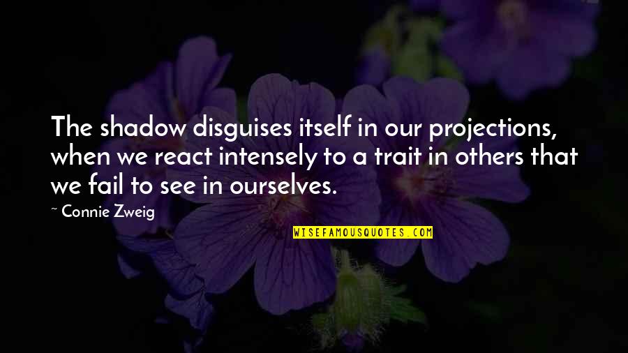 I Say Stupid Things Quotes By Connie Zweig: The shadow disguises itself in our projections, when