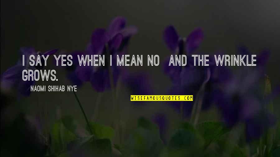 I Say Yes Quotes By Naomi Shihab Nye: I say yes when I mean no and