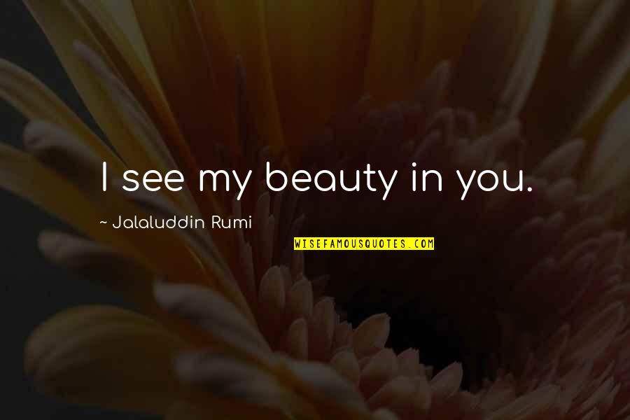 I See Beauty In You Quotes By Jalaluddin Rumi: I see my beauty in you.