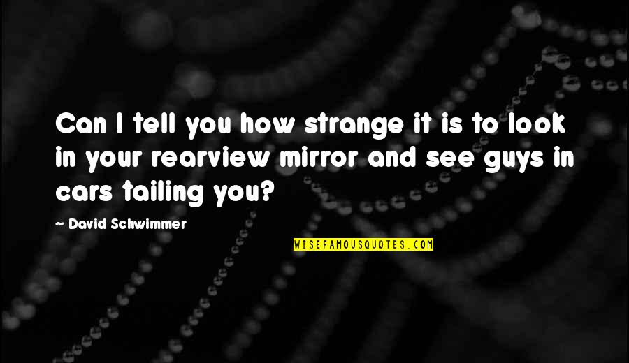 I See How It Is Quotes By David Schwimmer: Can I tell you how strange it is I See How It Is Quotes By David Schwimmer: Can I tell you how strange it is
