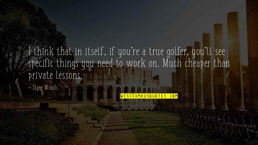 I See More Than You Think Quotes By Tiger Woods: I think that in itself, if you're a