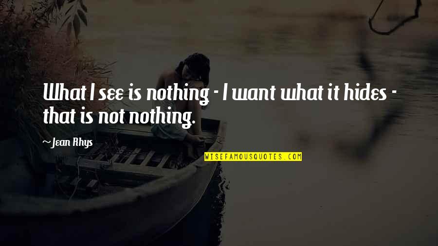 I See Nothing Quotes By Jean Rhys: What I see is nothing - I want
