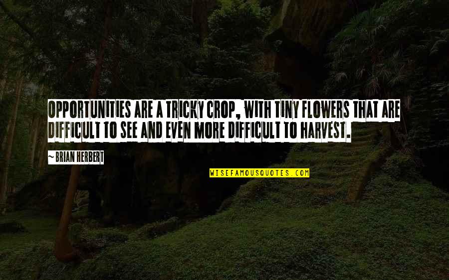 I See Opportunity Quotes By Brian Herbert: Opportunities are a tricky crop, with tiny flowers
