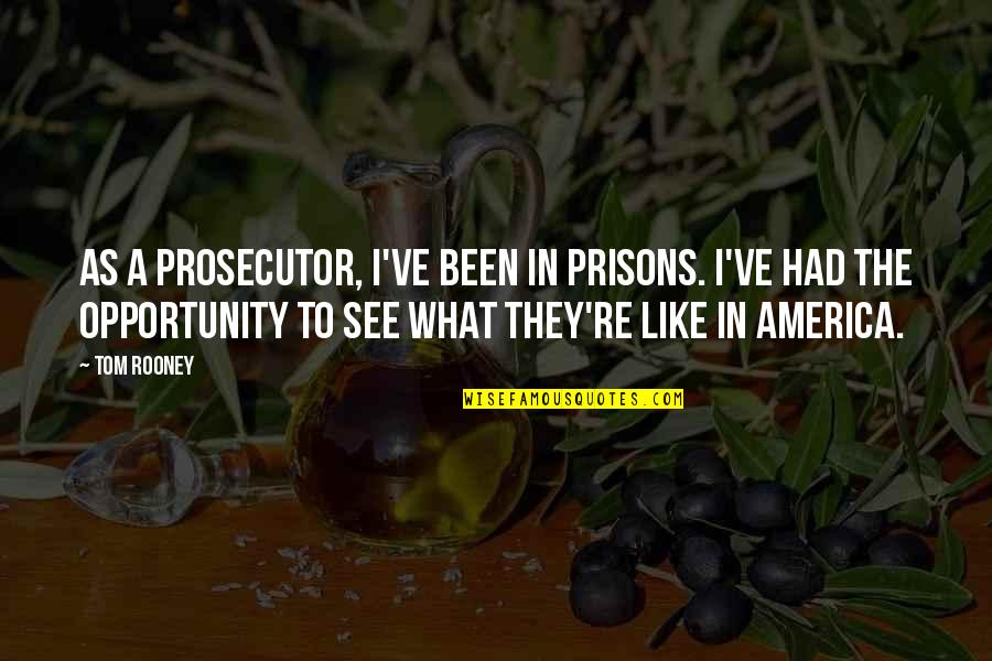 I See Opportunity Quotes By Tom Rooney: As a prosecutor, I've been in prisons. I've