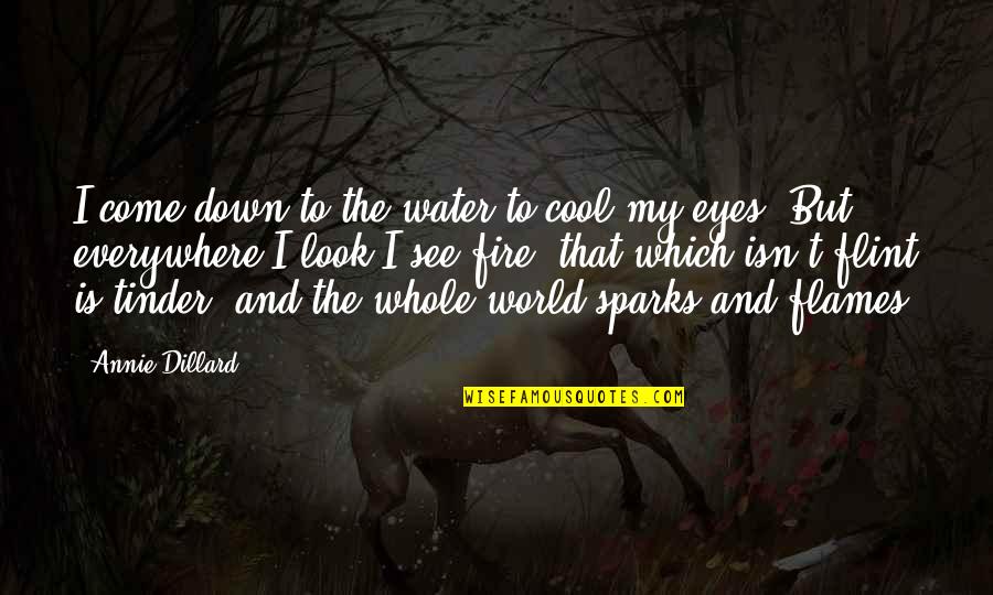 I See The World In Your Eyes Quotes By Annie Dillard: I come down to the water to cool