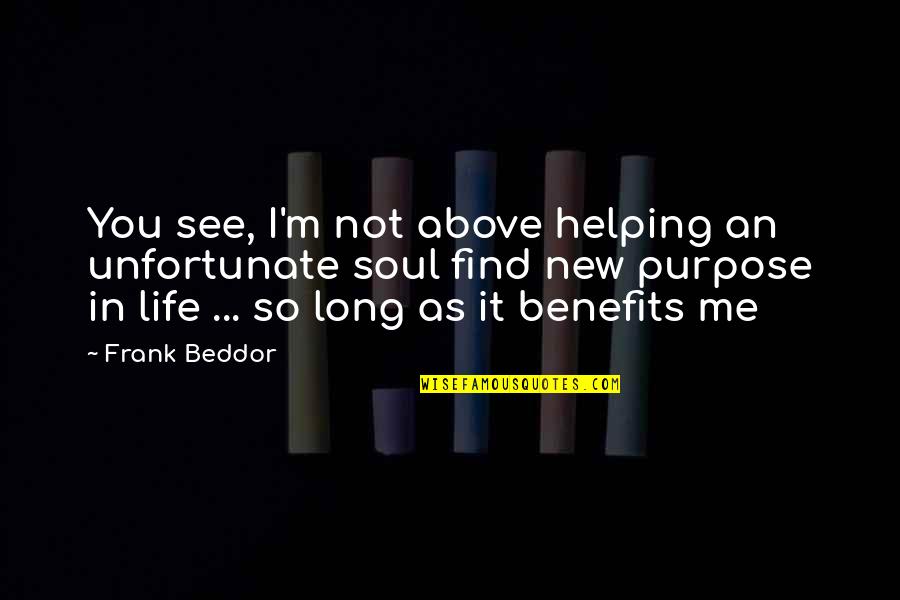 I See You In Me Quotes By Frank Beddor: You see, I'm not above helping an unfortunate