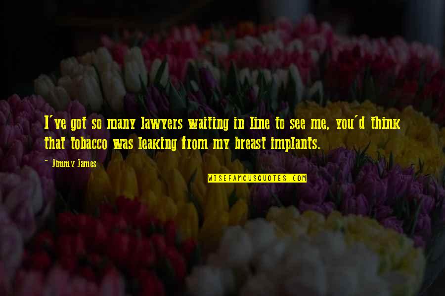 I See You In Me Quotes By Jimmy James: I've got so many lawyers waiting in line