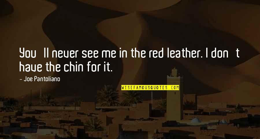 I See You In Me Quotes By Joe Pantoliano: You'll never see me in the red leather.