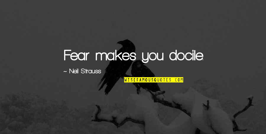 I Should Be Your Number One Quotes By Neil Strauss: Fear makes you docile.