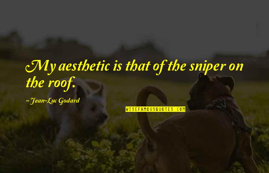 I Sleep Good Every Night Quotes By Jean-Luc Godard: My aesthetic is that of the sniper on