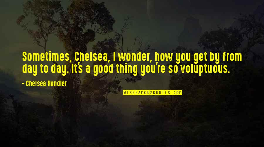 I Sometimes Wonder Quotes By Chelsea Handler: Sometimes, Chelsea, I wonder, how you get by