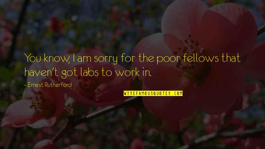 I Sorry Quotes By Ernest Rutherford: You know, I am sorry for the poor
